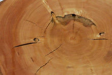 Load image into Gallery viewer, Douglas Fir Cookie