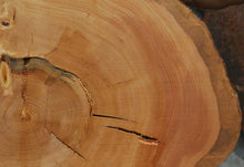 Load image into Gallery viewer, Douglas Fir Cookie