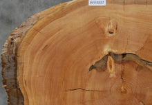Load image into Gallery viewer, Douglas Fir Cookie