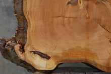 Load image into Gallery viewer, Douglas Fir Cookie