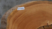 Load image into Gallery viewer, Douglas Fir Cookie