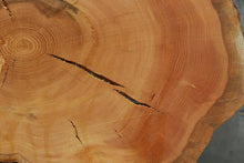 Load image into Gallery viewer, Douglas Fir Cookie
