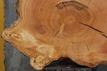 Load image into Gallery viewer, Douglas Fir Cookie