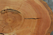 Load image into Gallery viewer, Douglas Fir Cookie
