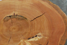 Load image into Gallery viewer, Douglas Fir Cookie