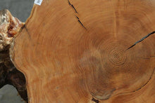 Load image into Gallery viewer, Douglas Fir Cookie
