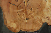 Load image into Gallery viewer, Douglas Fir Cookie