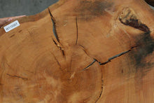 Load image into Gallery viewer, Douglas Fir Cookie