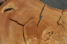 Load image into Gallery viewer, Douglas Fir Cookie