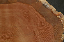 Load image into Gallery viewer, Douglas Fir Half Cookie