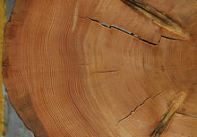 Load image into Gallery viewer, Douglas Fir Cookie