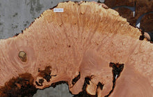 Load image into Gallery viewer, Heart Maple Burl Slab
