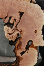Load image into Gallery viewer, Heart Maple Burl Slab