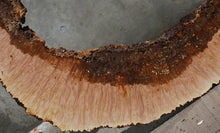 Load image into Gallery viewer, Heart Maple Burl Slab