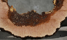 Load image into Gallery viewer, Heart Maple Burl Slab