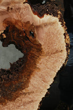 Load image into Gallery viewer, Heart Maple Burl Slab