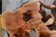 Load image into Gallery viewer, Heart Maple Burl Slab