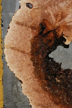Load image into Gallery viewer, Heart Maple Burl Slab