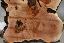 Load image into Gallery viewer, Heart Maple Burl Cookie