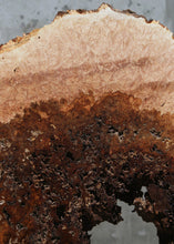 Load image into Gallery viewer, Heart Maple Burl Cookie