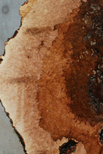 Load image into Gallery viewer, Heart Maple Burl Cookie