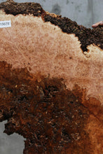 Load image into Gallery viewer, Heart Maple Burl Cookie