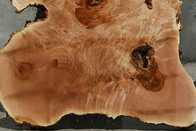 Load image into Gallery viewer, Heart Maple Burl Slab