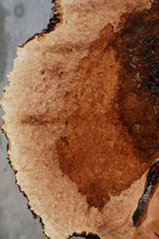 Load image into Gallery viewer, Heart Maple Burl Slab