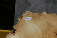 Load image into Gallery viewer, Box Elder Slice