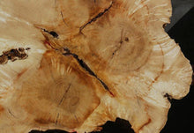Load image into Gallery viewer, Box Elder Slice