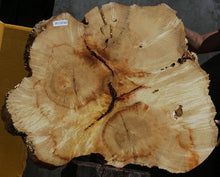 Load image into Gallery viewer, Box Elder Slice