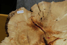 Load image into Gallery viewer, Box Elder Slice
