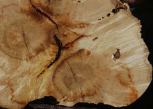 Load image into Gallery viewer, Box Elder Slice