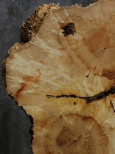 Load image into Gallery viewer, Box Elder Slice