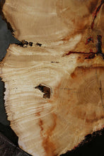 Load image into Gallery viewer, Box Elder Slice