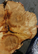 Load image into Gallery viewer, Box Elder Slice
