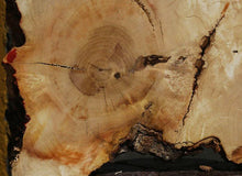 Load image into Gallery viewer, Box Elder Slice