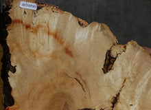 Load image into Gallery viewer, Box Elder Slice