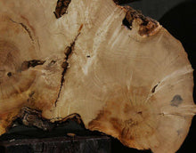 Load image into Gallery viewer, Box Elder Slice
