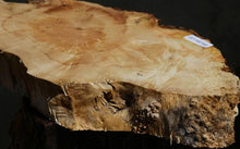 Load image into Gallery viewer, Box Elder Slice