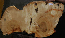 Load image into Gallery viewer, Box Elder Slice