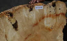 Load image into Gallery viewer, Box Elder Slice