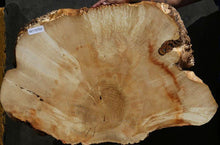 Load image into Gallery viewer, Box Elder Slice