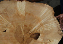 Load image into Gallery viewer, Box Elder Slice