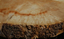 Load image into Gallery viewer, Box Elder Slice