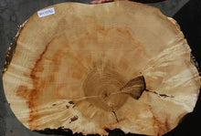 Load image into Gallery viewer, Box Elder Slice