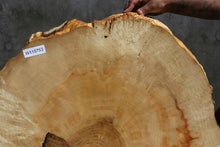 Load image into Gallery viewer, Box Elder Slice