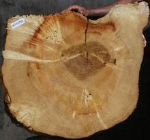 Load image into Gallery viewer, Box Elder Slice