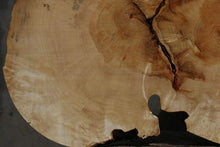 Load image into Gallery viewer, Box Elder Slice
