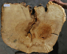 Load image into Gallery viewer, Box Elder Slice